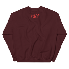 Load image into Gallery viewer, Stay Dangerous Unisex Sweatshirt