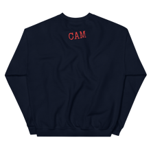 Load image into Gallery viewer, Stay Dangerous Unisex Sweatshirt
