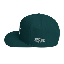 Load image into Gallery viewer, DJ DDT Logo Snapback Hat
